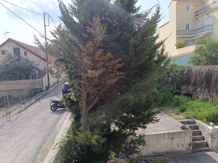 Image No.3-Plot for sale