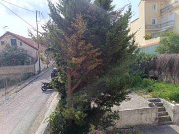 IMG_20260326_102815-scaled