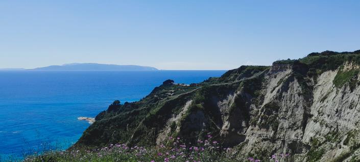 Image No.19-Land for sale