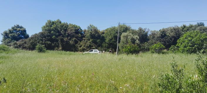 Image No.21-Land for sale