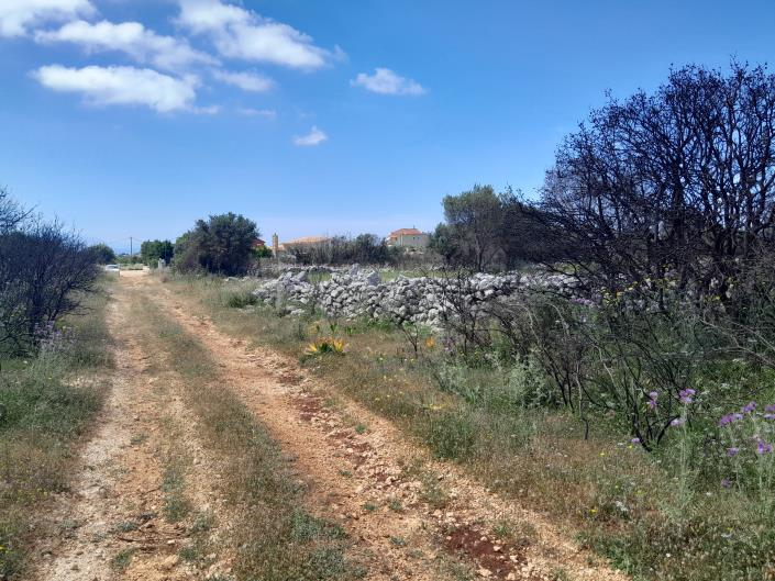 Image No.2-Land for sale