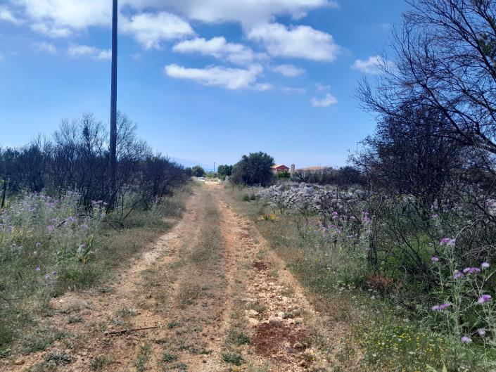 Image No.3-Land for sale