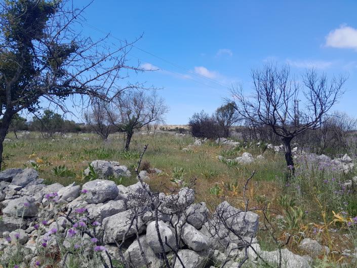 Image No.4-Land for sale