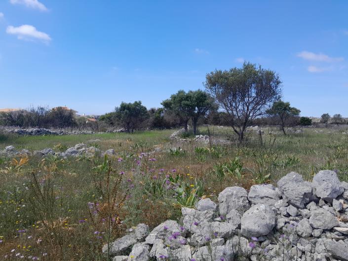 Image No.6-Land for sale