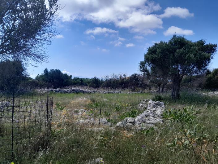 Image No.8-Land for sale