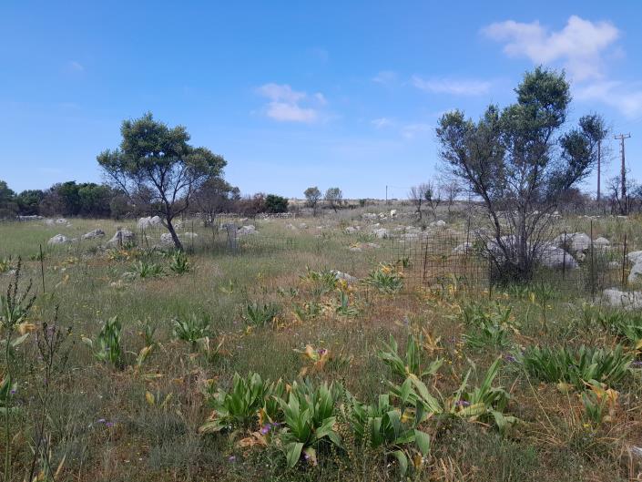 Image No.7-Land for sale