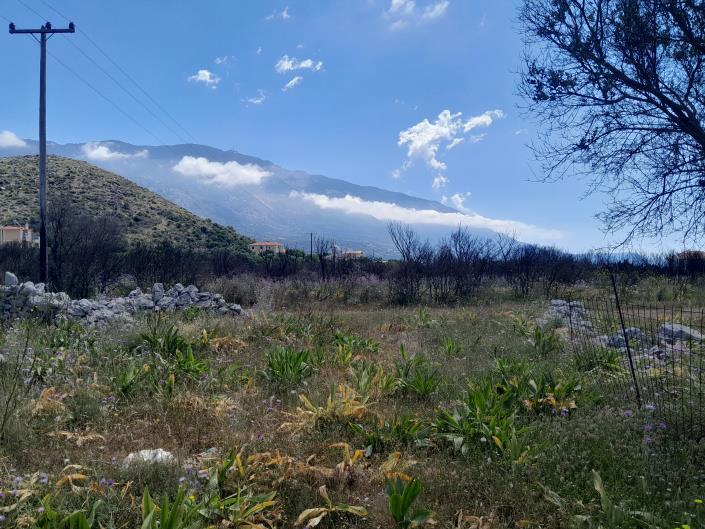 Image No.9-Land for sale