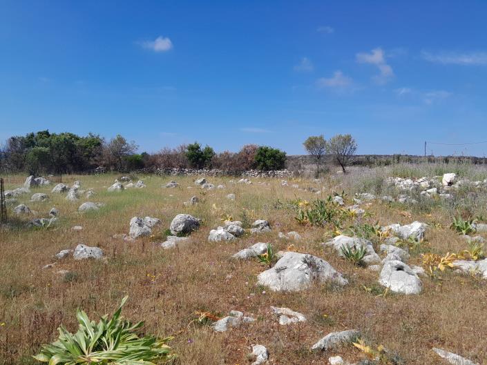 Image No.12-Land for sale