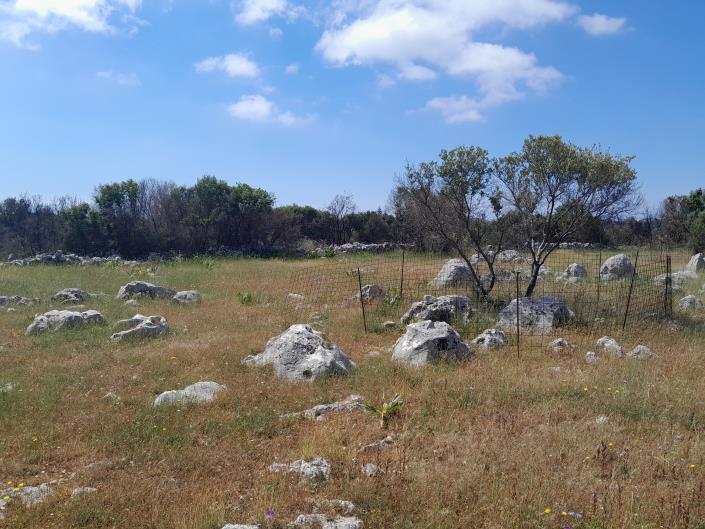 Image No.11-Land for sale
