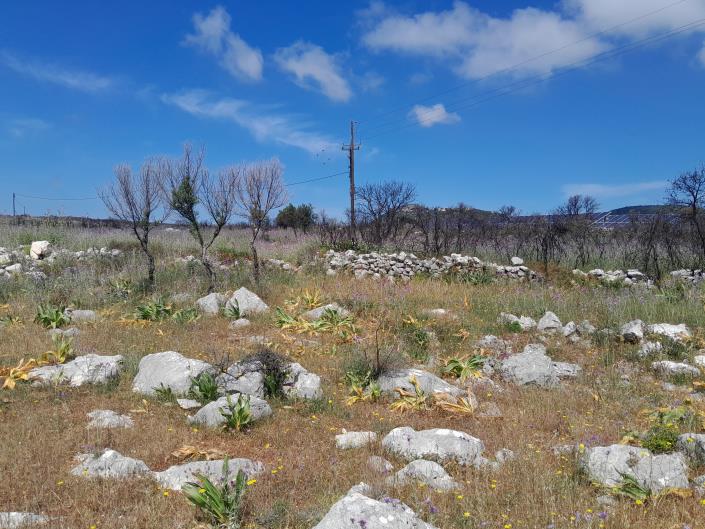 Image No.13-Land for sale