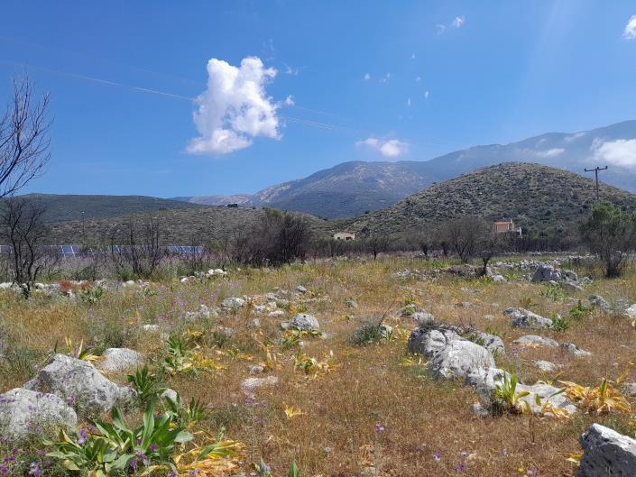 Image No.15-Land for sale