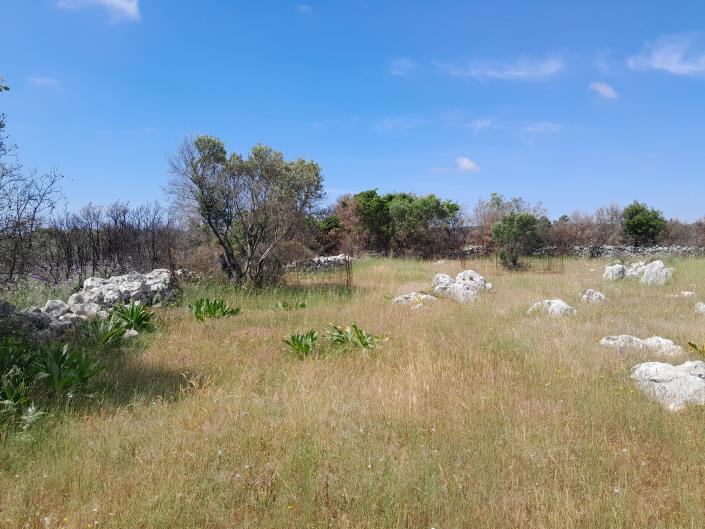 Image No.17-Land for sale