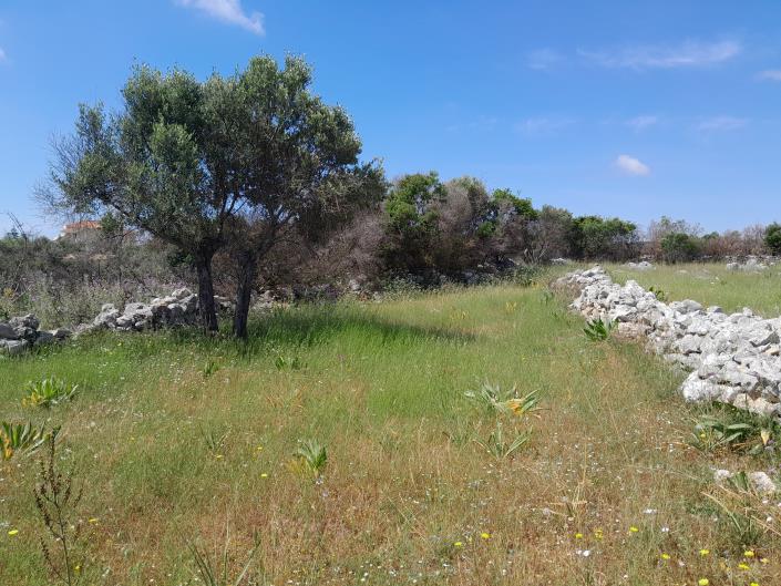 Image No.18-Land for sale