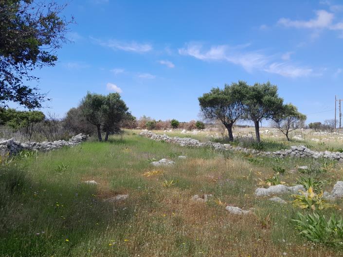Image No.19-Land for sale