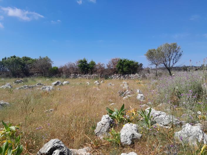Image No.3-Land for sale