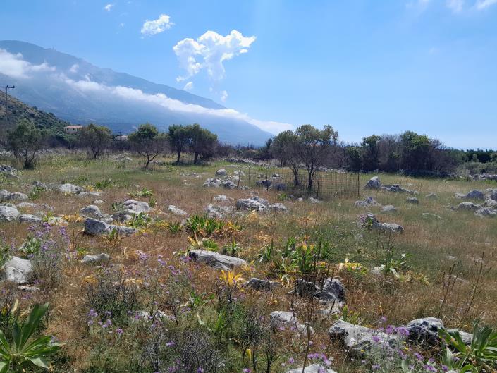 Image No.5-Land for sale