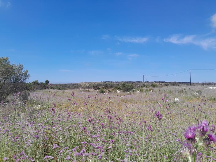 Image No.7-Land for sale