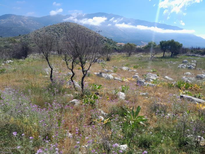 Image No.11-Land for sale