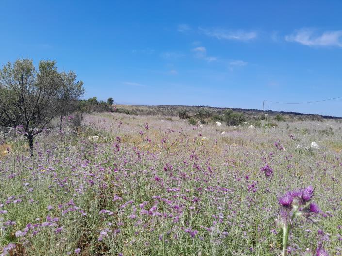 Image No.14-Land for sale