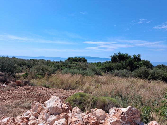 Image No.7-Land for sale