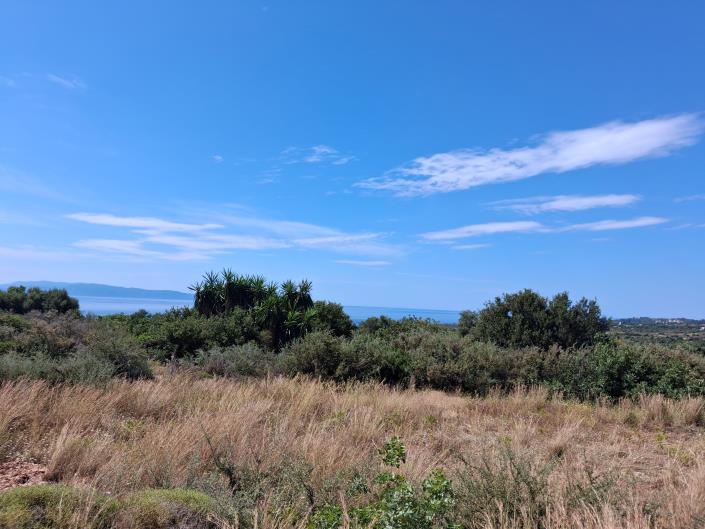 Image No.11-Land for sale