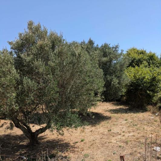 Image No.4-Plot for sale
