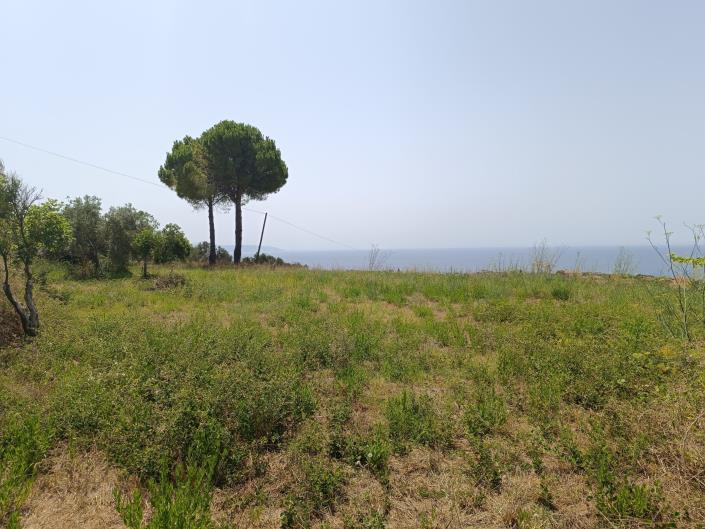 Image No.4-Terre à vendre à Lakithra