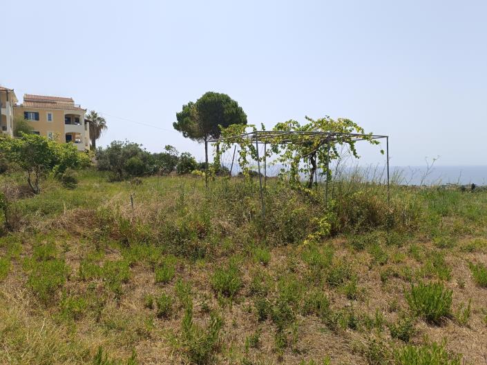 Image No.5-Terre à vendre à Lakithra