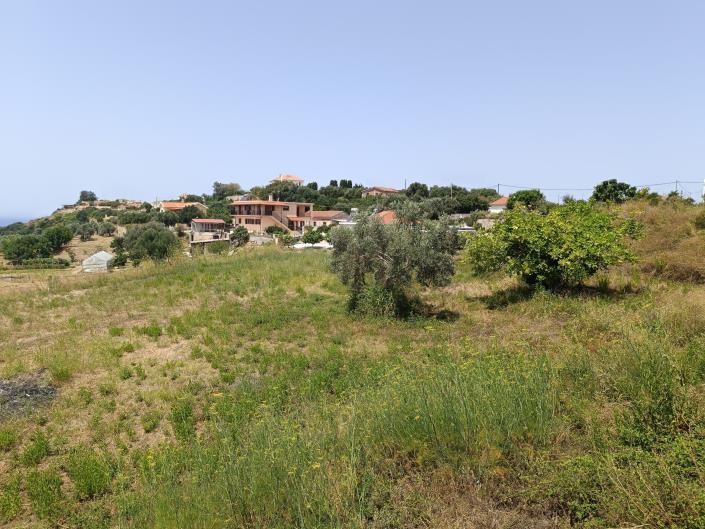 Image No.6-Terre à vendre à Lakithra