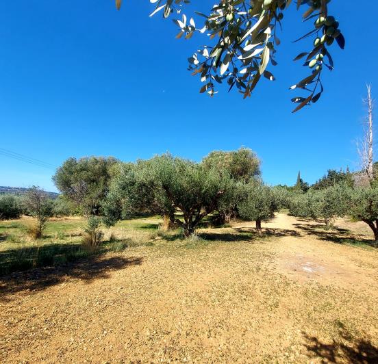Image No.4-Land for sale