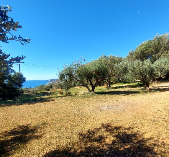 Image No.5-Land for sale
