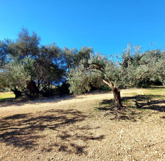 Image No.7-Land for sale