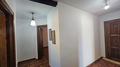 981871233212