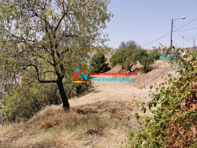 Image No.4-Maison de campagne de 3 chambres à vendre à Arboleas