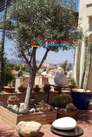 Image No.8-9 Bed Villa for sale