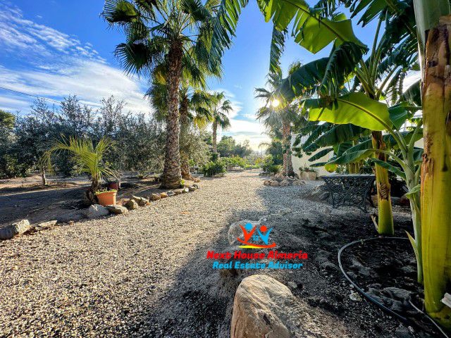 Image No.47-3 Bed Country House for sale