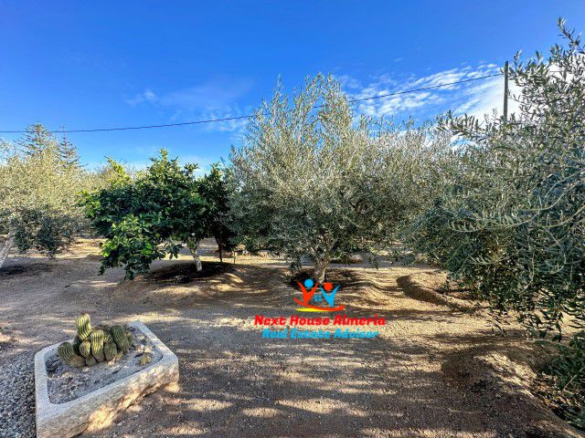 Image No.50-3 Bed Country House for sale