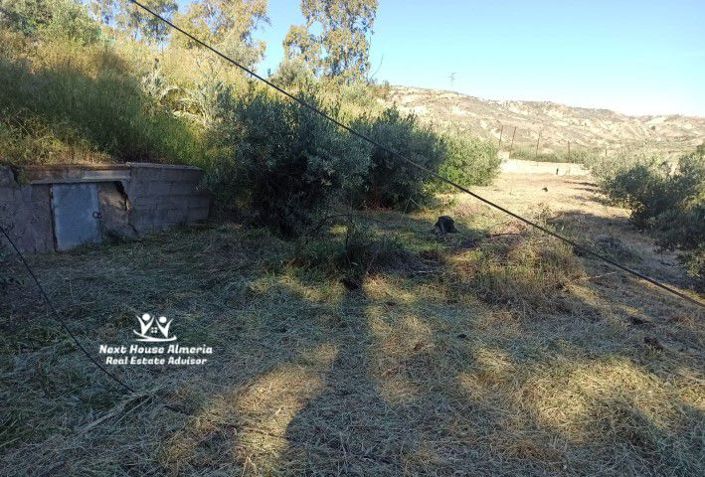 Image No.3-Propriété à vendre à Albox