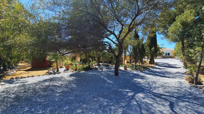 Image No.3-Villa de 3 chambres à vendre à Partaloa