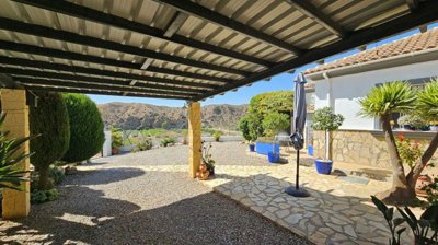 981871129910