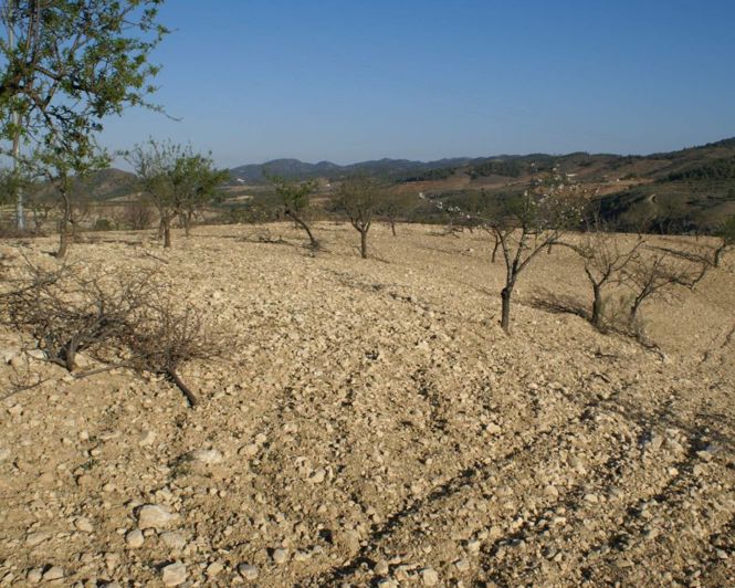 Image No.4-Plot for sale