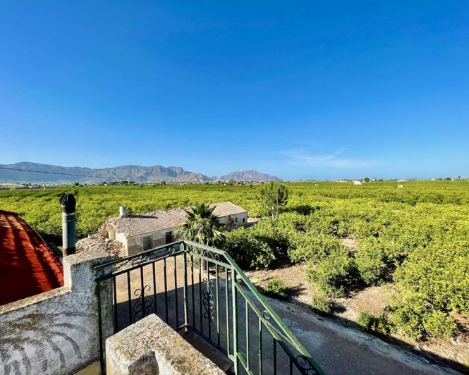 Image No.24-Villa de 3 chambres à vendre à Orihuela