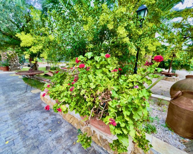 Image No.49-8 Bed Property for sale