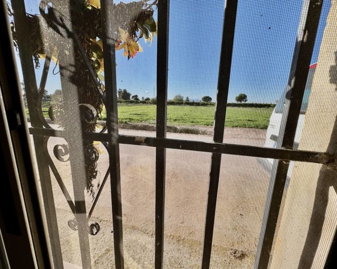 Image No.12-Propriété de 4 chambres à vendre à Guardamar del Segura