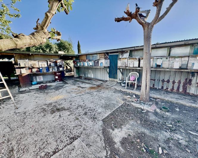 Image No.32-Propriété de 4 chambres à vendre à Guardamar del Segura