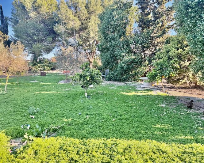 Image No.36-Propriété de 4 chambres à vendre à Guardamar del Segura