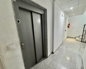 11825081xl