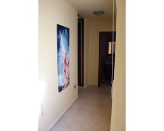 11861639xl