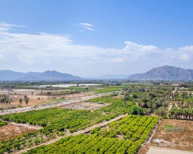 Image No.19-Appartement de 3 chambres à vendre à Jacarilla