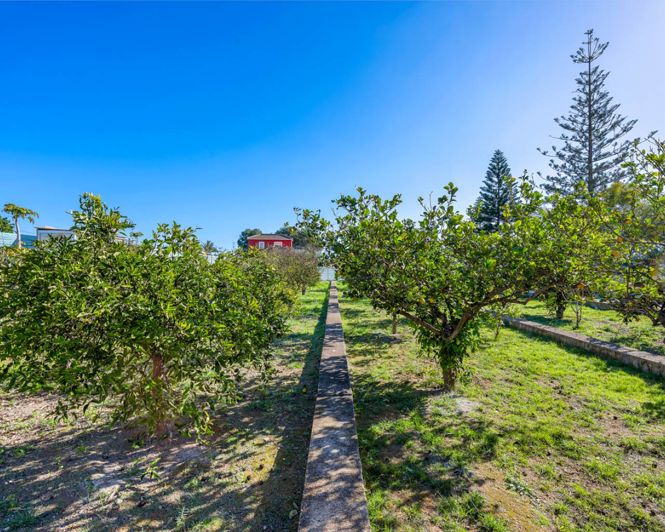 Image No.25-Propriété de 6 chambres à vendre à Los Montesinos